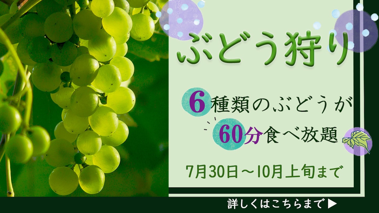 目を惹くWEB画像制作します SNS画像、バナー広告、ヘッダーなどのデザインを制作します！ イメージ3