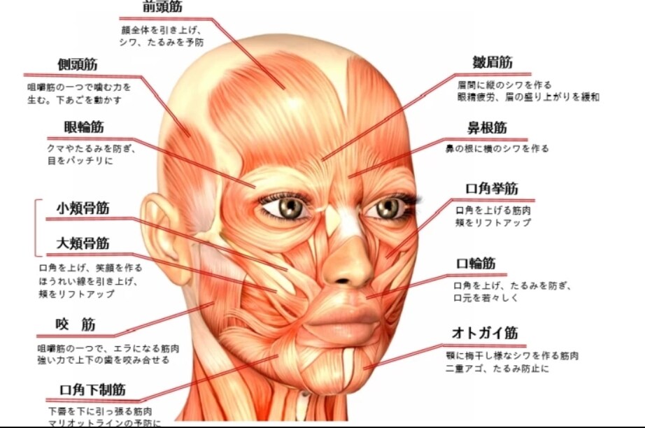 見た目－10歳！★50代からの表情筋トレします 【一回で効果実感★】毎日3分で表情も心も若返り☆表情筋顔トレ イメージ3