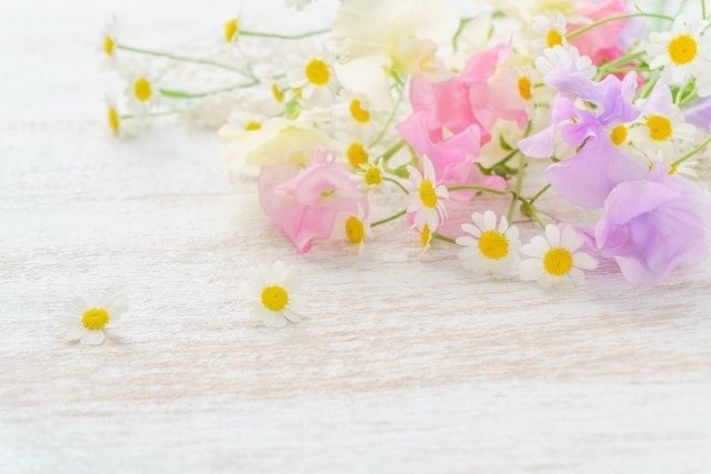 もう働きたくない☘️職場のお悩みお聞きします ◇休憩時間にちょっとだけでも♪帰宅途中でも♪すき間時間に♪ イメージ2