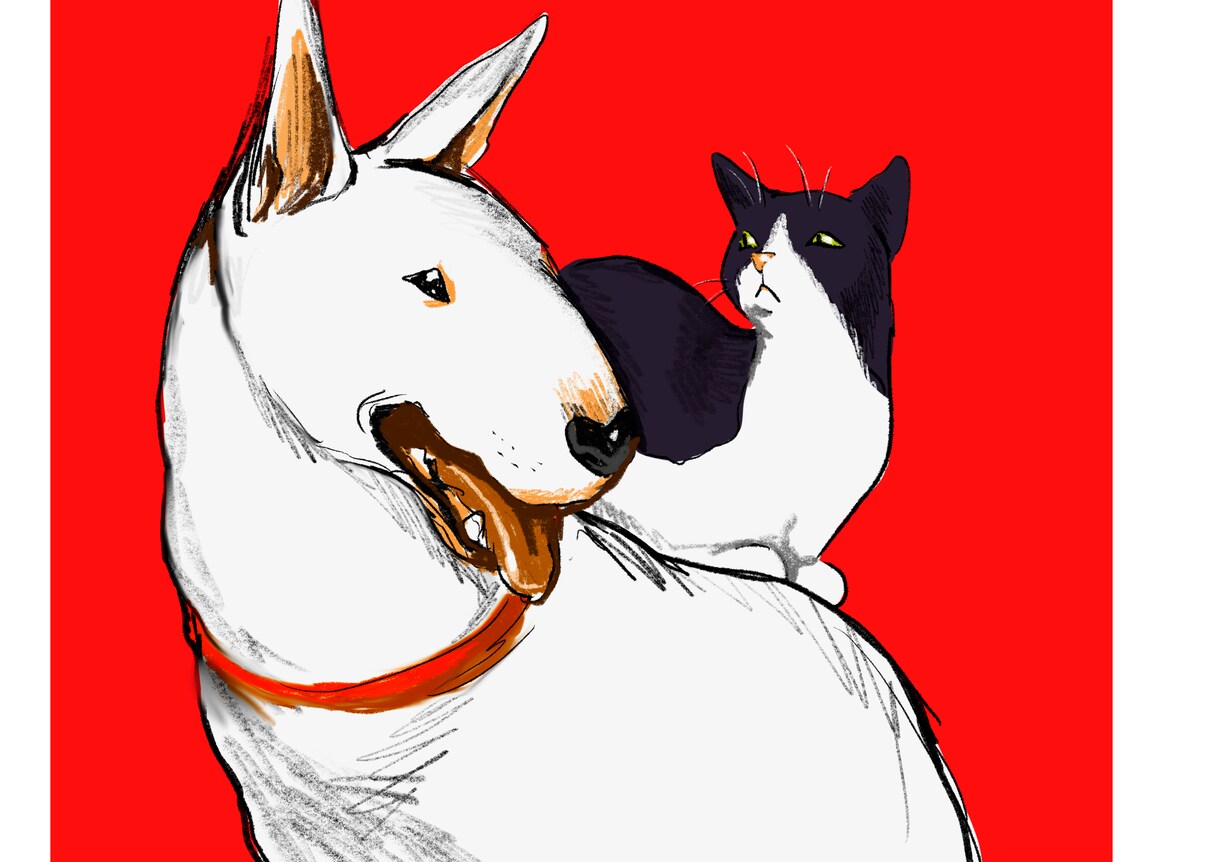 3名様モニター価格！お好きな動物なんでも描きます 犬・猫・鳥・爬虫類など幅広く対応します。 イメージ8