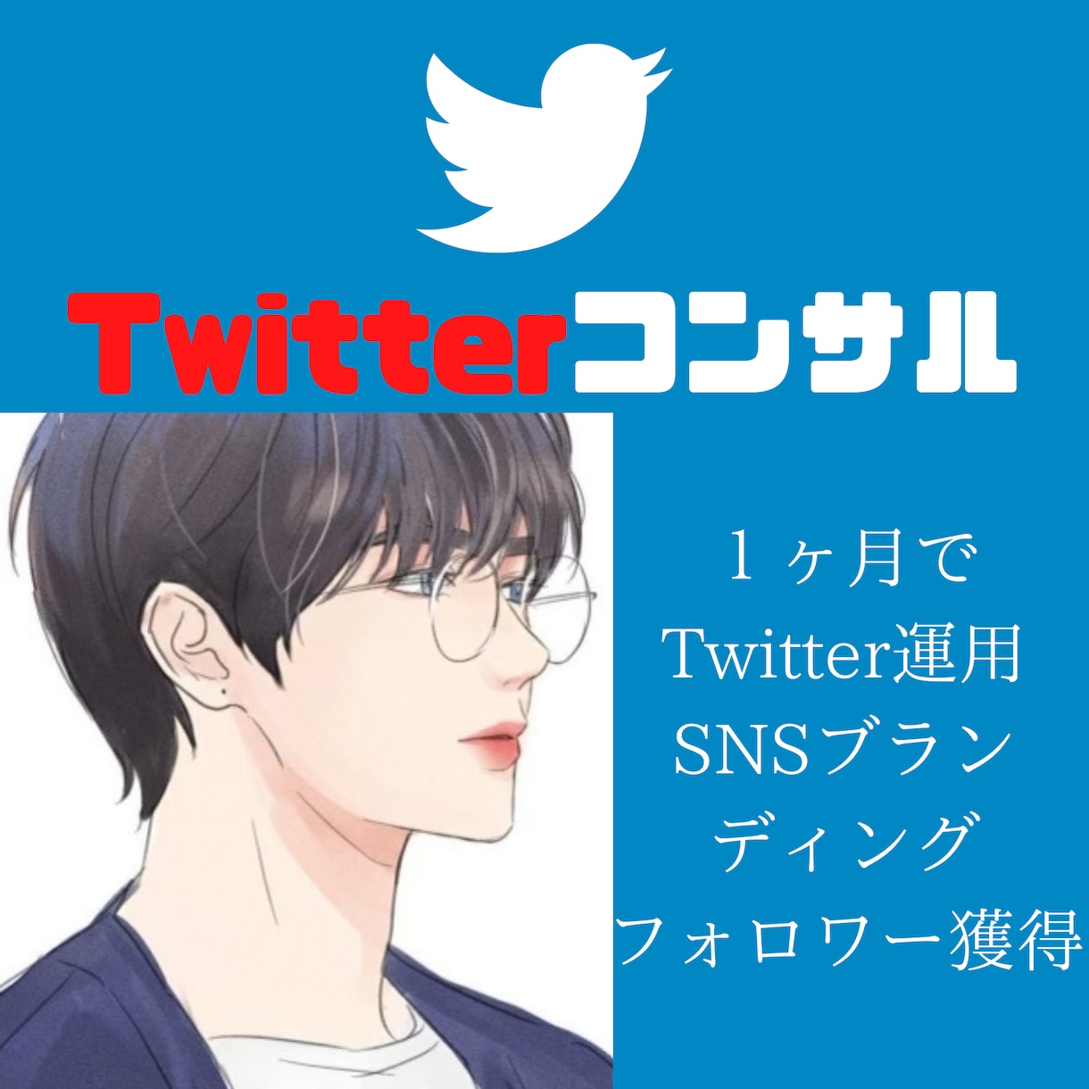 1ヶ月Twitterマーケティングサポートします SNSコンサル・Twitterコンサル・SNSコンサル イメージ1
