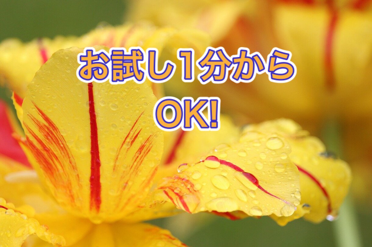 女性限定⭐️貴女のお話傾聴カウンセラーが聞きます 貴女の愚痴、不満、悩み、雑談、誰かに聞いて欲しいをかなえます イメージ3