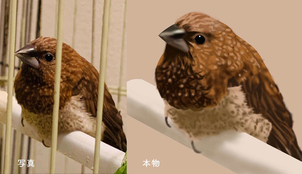 お客様のご希望に沿うようなイラストを描きます かわいいイラストからリアルなイラストまでなんでも描きます イメージ10