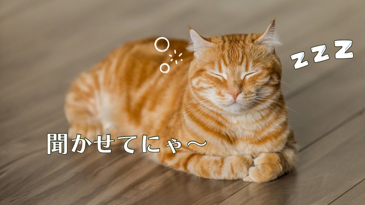 優しく共感◎心が軽くなる愚痴ききます いつでもあなたの味方です。聞かせてにゃ イメージ1