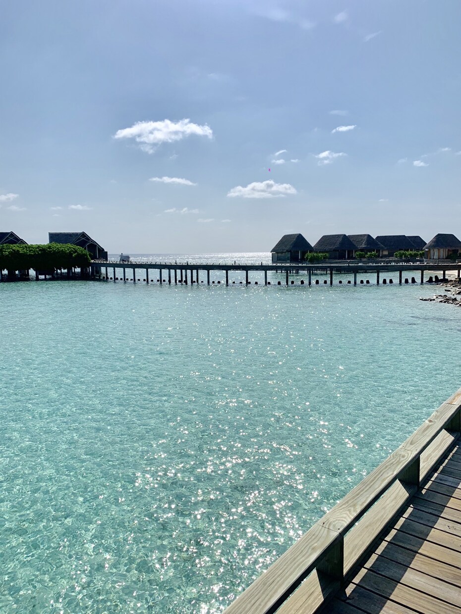 モルディブ旅行へのお手伝いします モルディブへ旅行・ハネムーン予定の方のお手伝い致します イメージ1