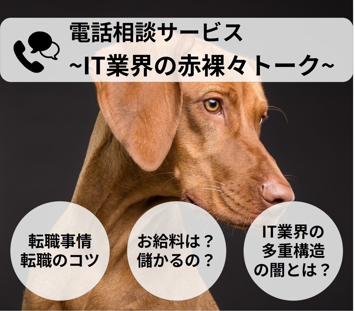 IT業界についてなんでも答えます 「IT業界に関する質問になんでも回答!」 イメージ1