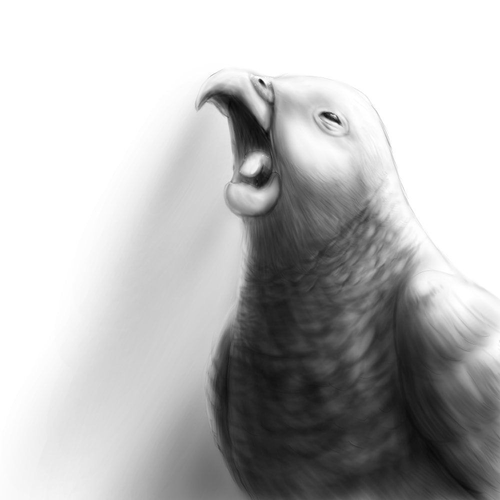 人物、動物などの白黒デジタルイラストをお描きします 想像上の生物でもオリジナル設定の何かでも大丈夫です イメージ5