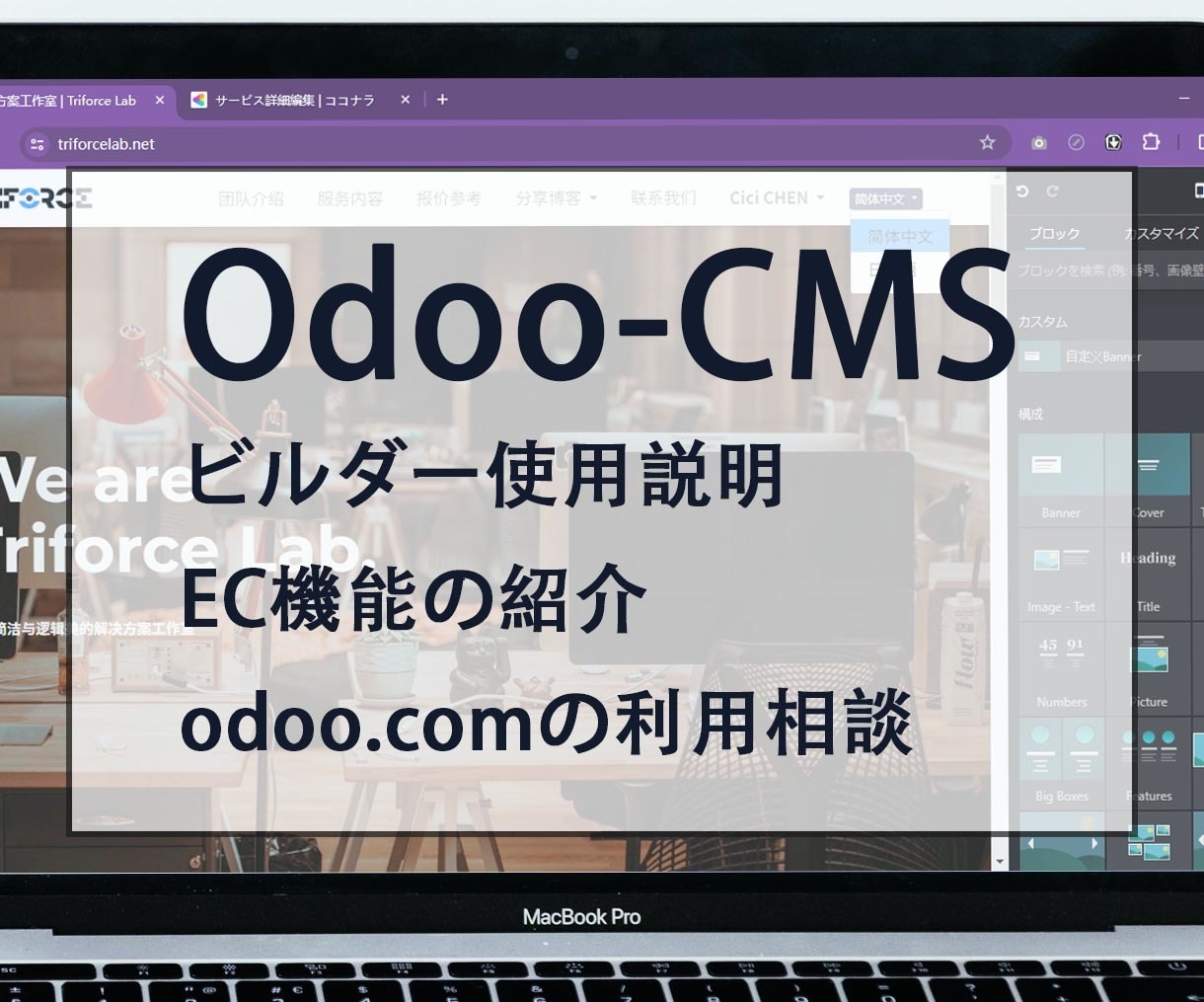 Odooでサイト制作をオンラインレクチャーします OdooシステムのCMS使用方法とEC機能を説明します イメージ1