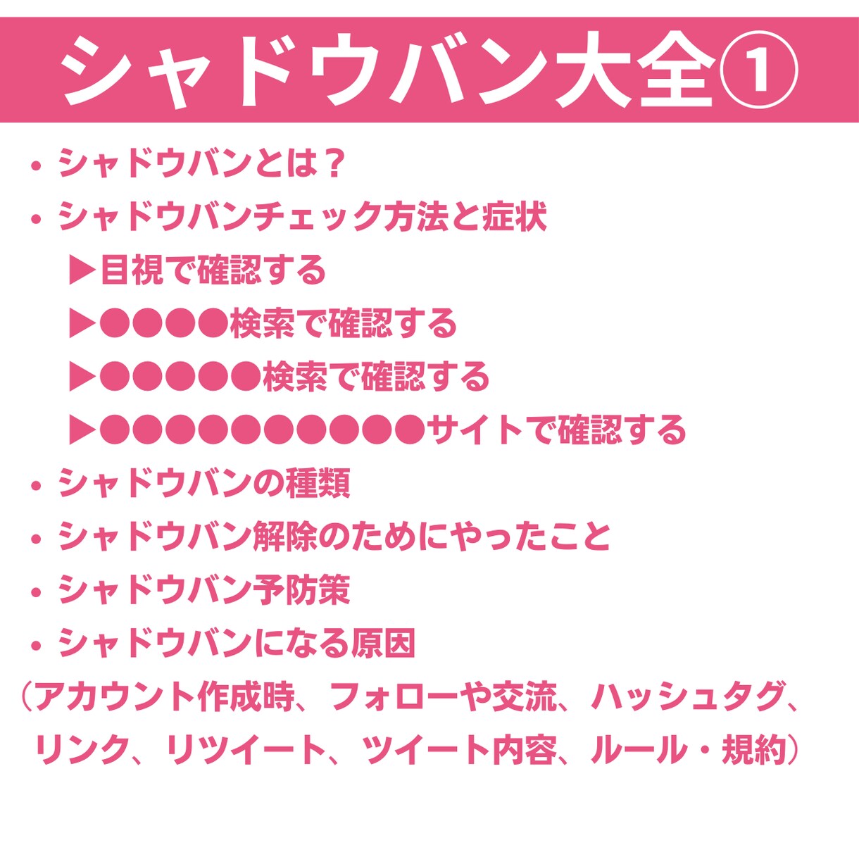 Twitterアフィリとシャドウバン対策が学べます 副業でSNSアフィリを独学で始める！おすすめスターターセット イメージ7