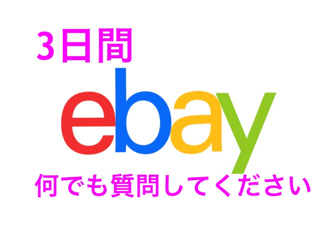 ebay初心者歓迎！相談に乗ります 自分でやってもわからない部分を解決します！ イメージ1