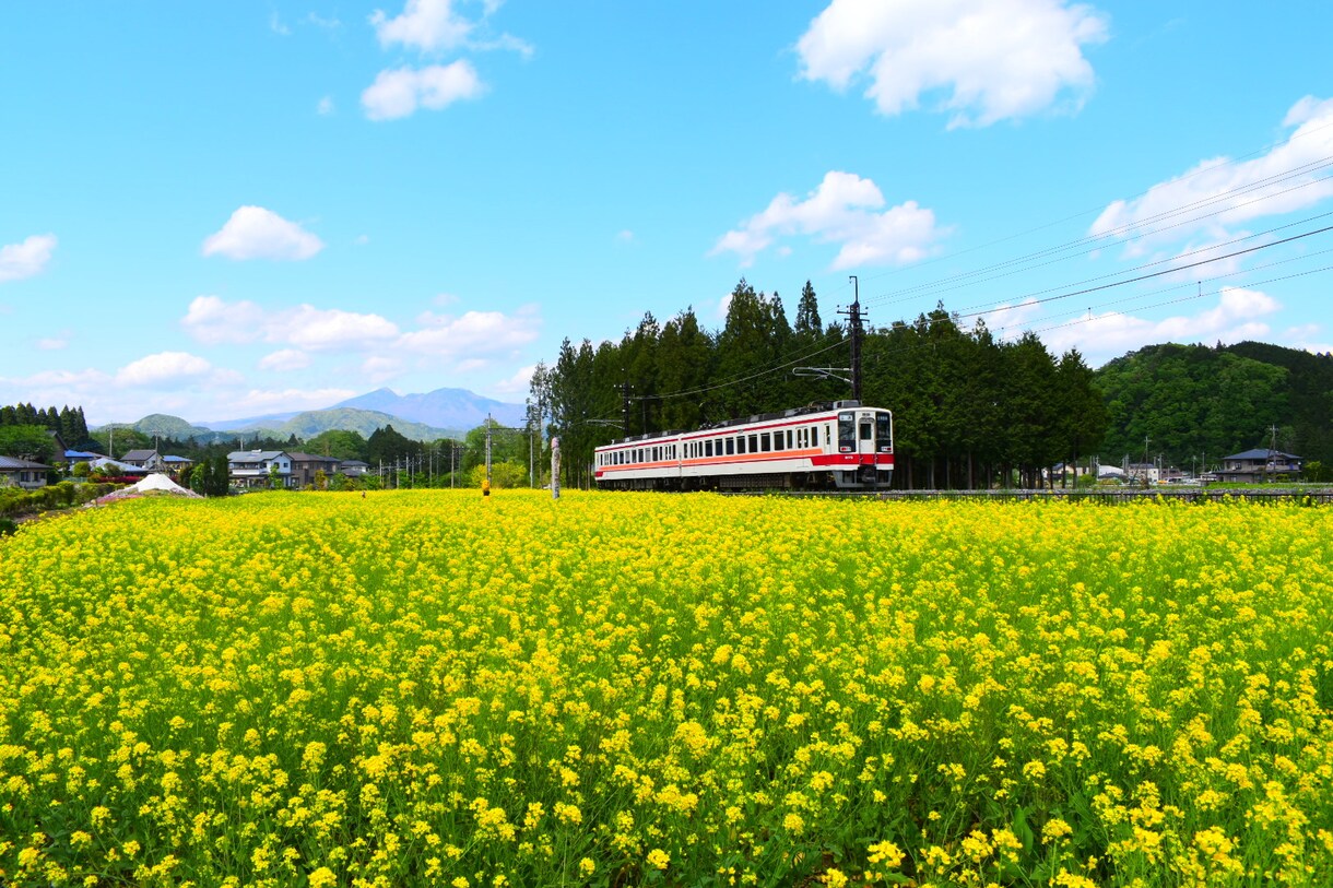 素敵な写真お届けします 必要な写真を可能な限りお送りします！ イメージ3