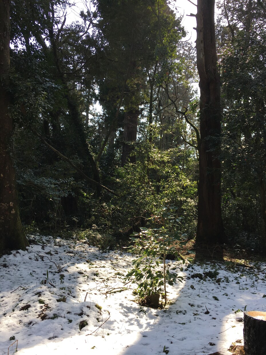 あなたとのご縁に感謝、お話ください秘密厳守します お試し1分からでも、愚痴、悩み、趣味やすきなことお伺いします イメージ1