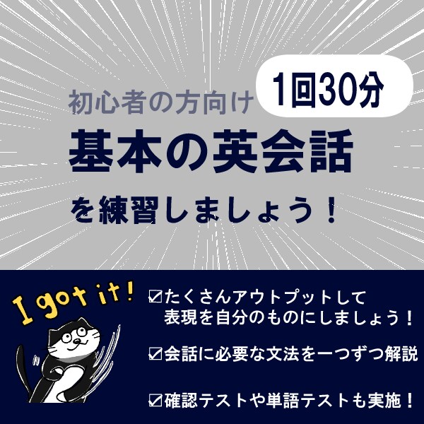 初心者向けのオンライン英会話レッスンを行います 【英会話を始めてみたい方へ】基本の英会話を練習しましょう！ イメージ1