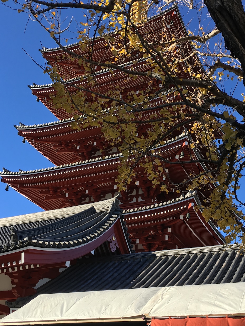 お好きなご質問を本格霊視鑑定いたします お悩みを本気で解決したい貴方へ イメージ2