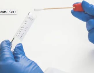 💬Coconara｜Providing coronavirus information and supporting PCR test reservations NinoNIno 5.0…