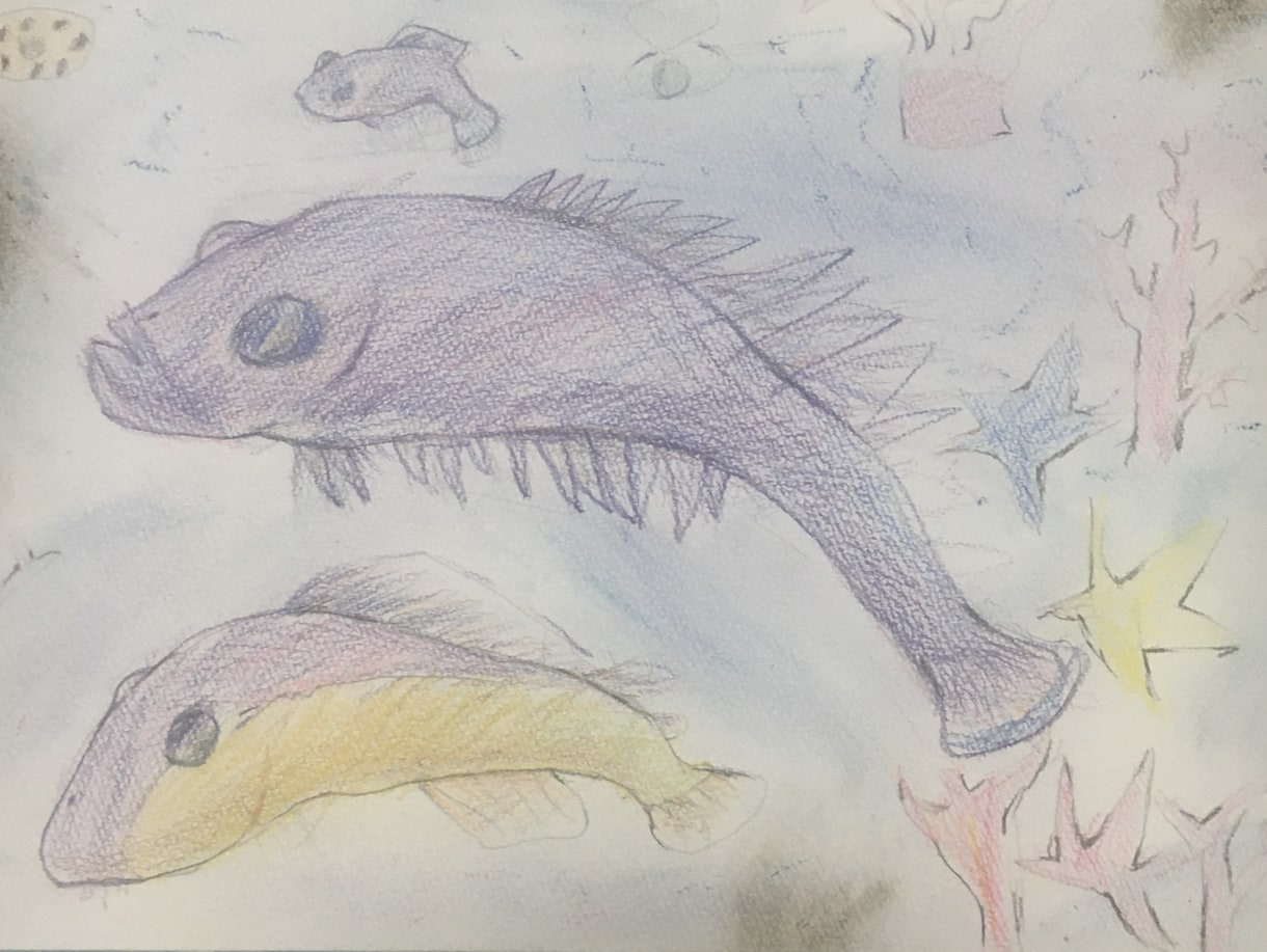 魚のイラスト書きます 魚のイラストを色鉛筆で書きます イメージ3