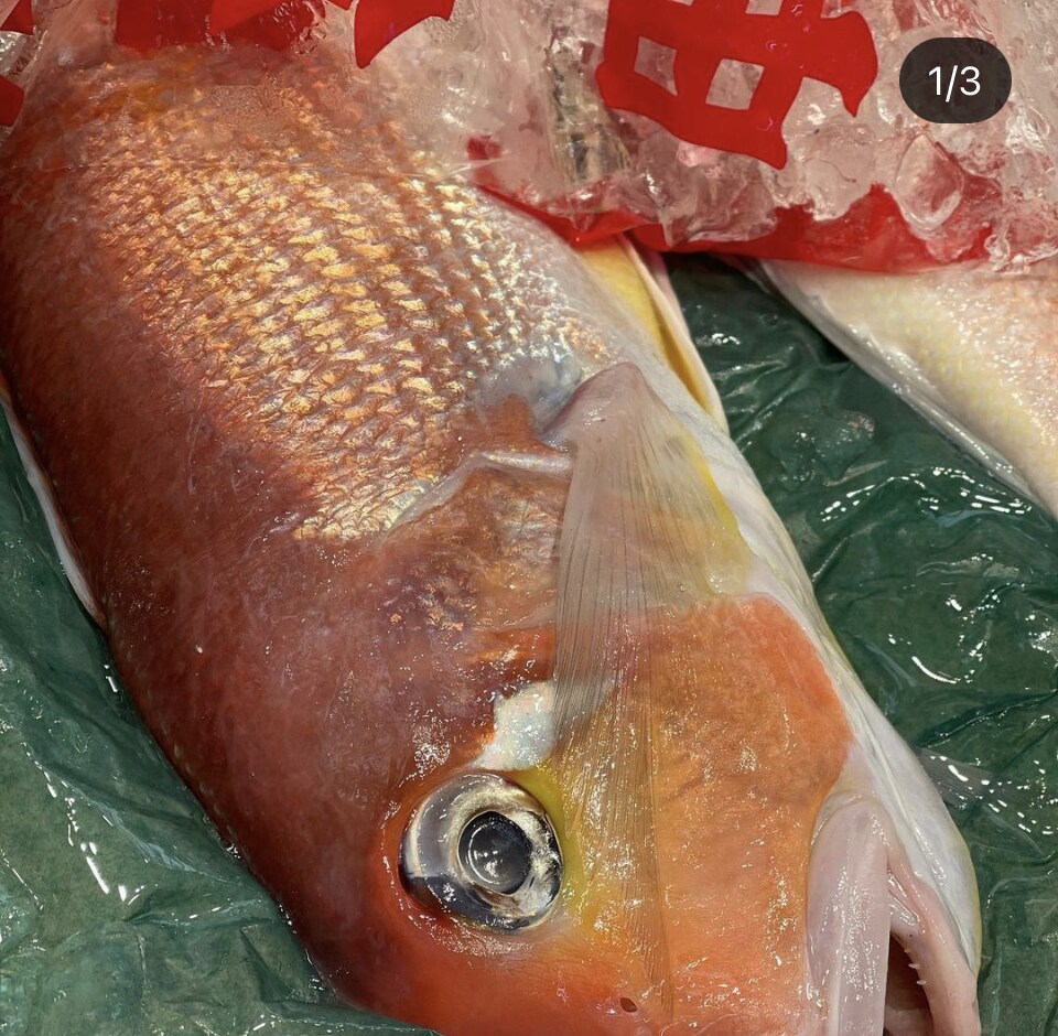 魚介類の目利き、美味しく調理するポイント教えます 魚屋で働き魚介専門店で働いた経験を基に的確なアドバイスを❗️ イメージ2