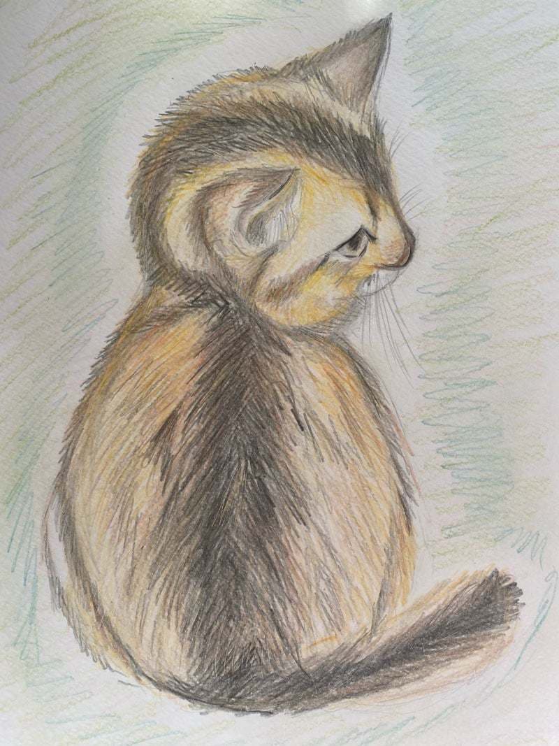 可愛い動物の絵を描きます 可愛らしく温かみのある絵を描きます イメージ10