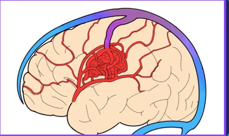 medical illustratorやります 広告・論文や学会発表用のイラスト作成します イメージ2