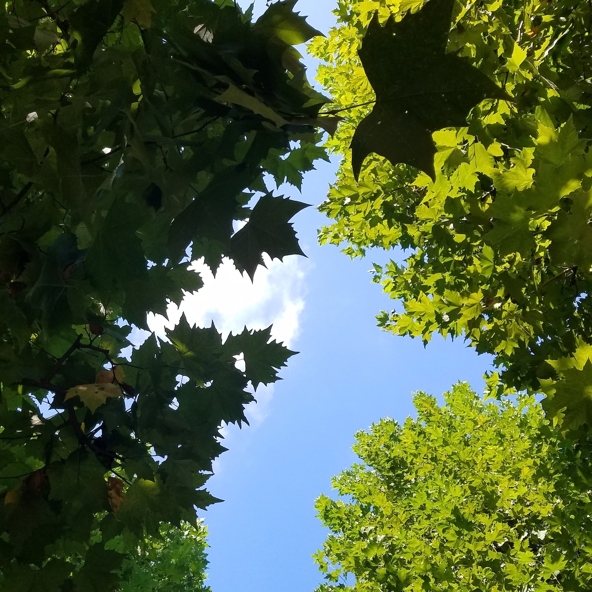 明るく楽しく、前向きになる為にお話をさせて頂きます 不安や心配、悩みを聞いてほしい方の窓口です。 イメージ1
