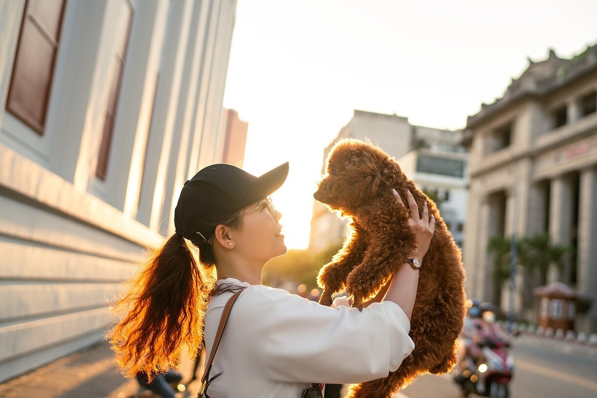 波動共鳴♡ペットちゃんの本音の想い届けます 大切なあなたと心通わせたい。言葉にできない気持ちをお届け イメージ2