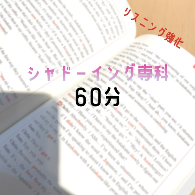 英語・リスニング強化します １回完結★シャドーイング専科！リスニングとスピーキングの強化 イメージ1