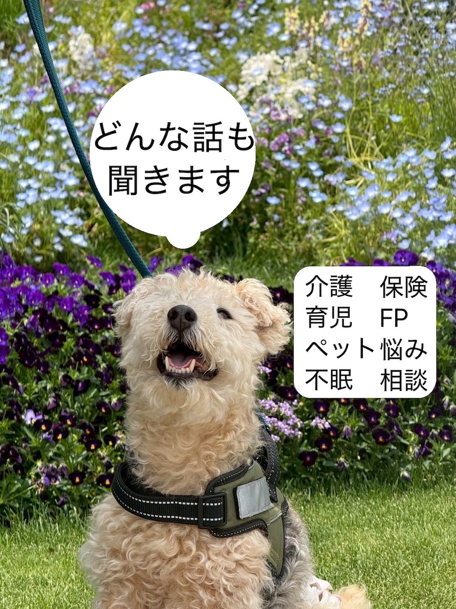 不眠症、介護、ペットロス、育児、鬱など相談のります 子育て・介護・家計・心の悩みに寄り添う暮らしの相談窓口 イメージ1