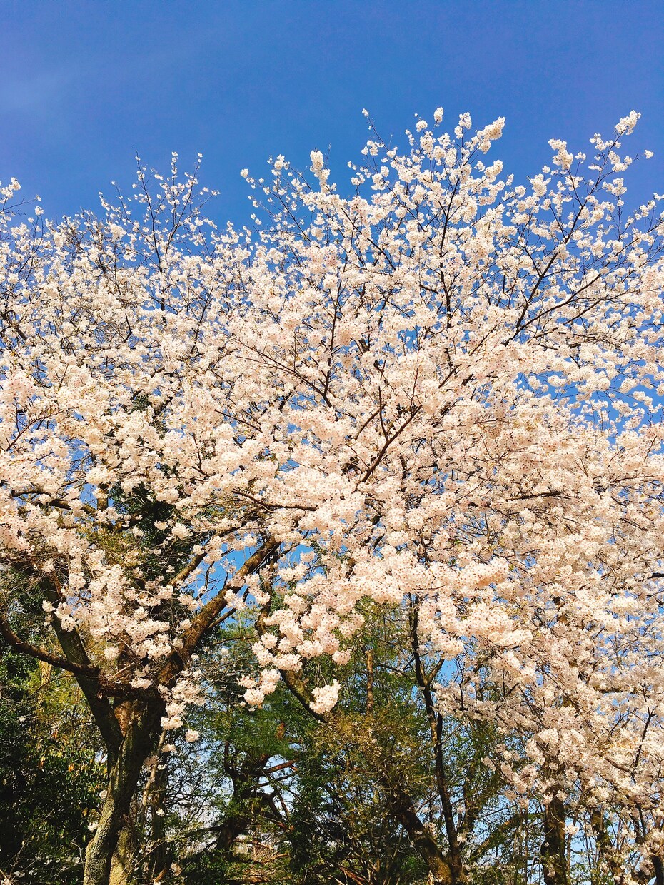 愚痴や悩みを聞きます！あなたの心を軽くします 愚痴や悩みを誰にも言えない方LINE感覚でお気軽に聞きます！ イメージ1