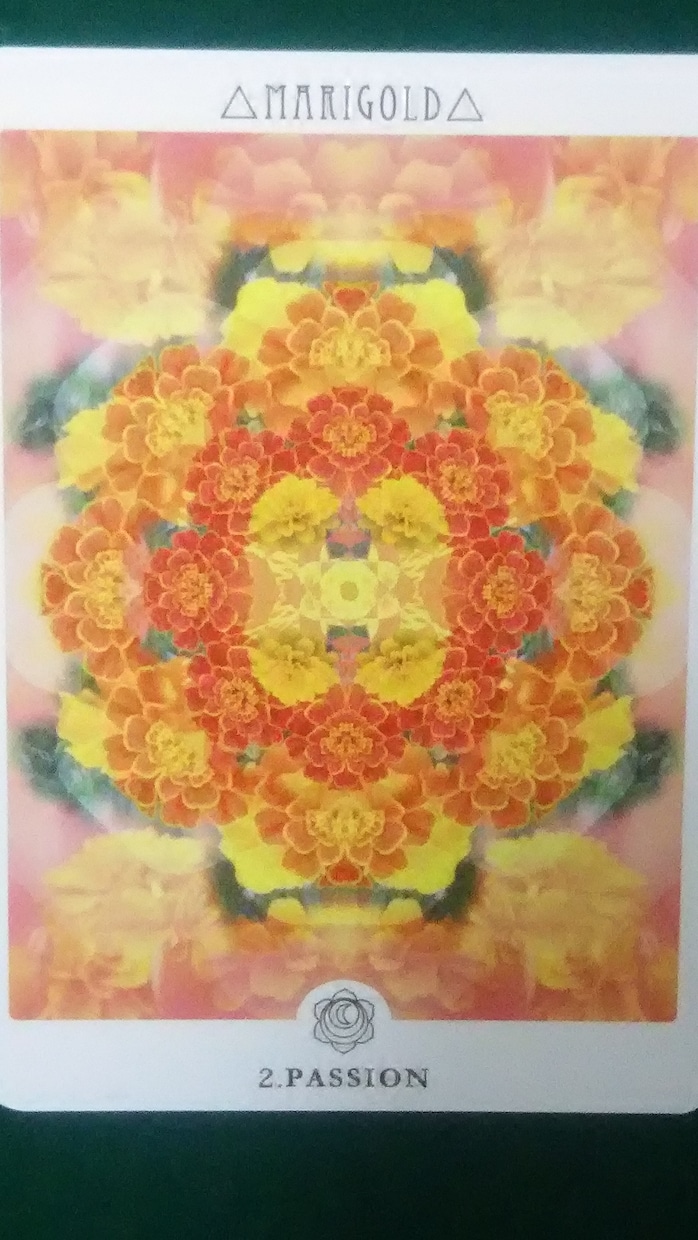 幸せなお言葉とパワーを提供します 花曼荼羅カードがあなたを後押しします！ イメージ1