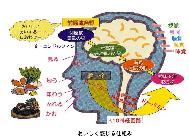 おいしく食べてダイエット。コロナ太り対策できます いくつになってもナイスバディ‼男も女もナイスバディ！ イメージ5