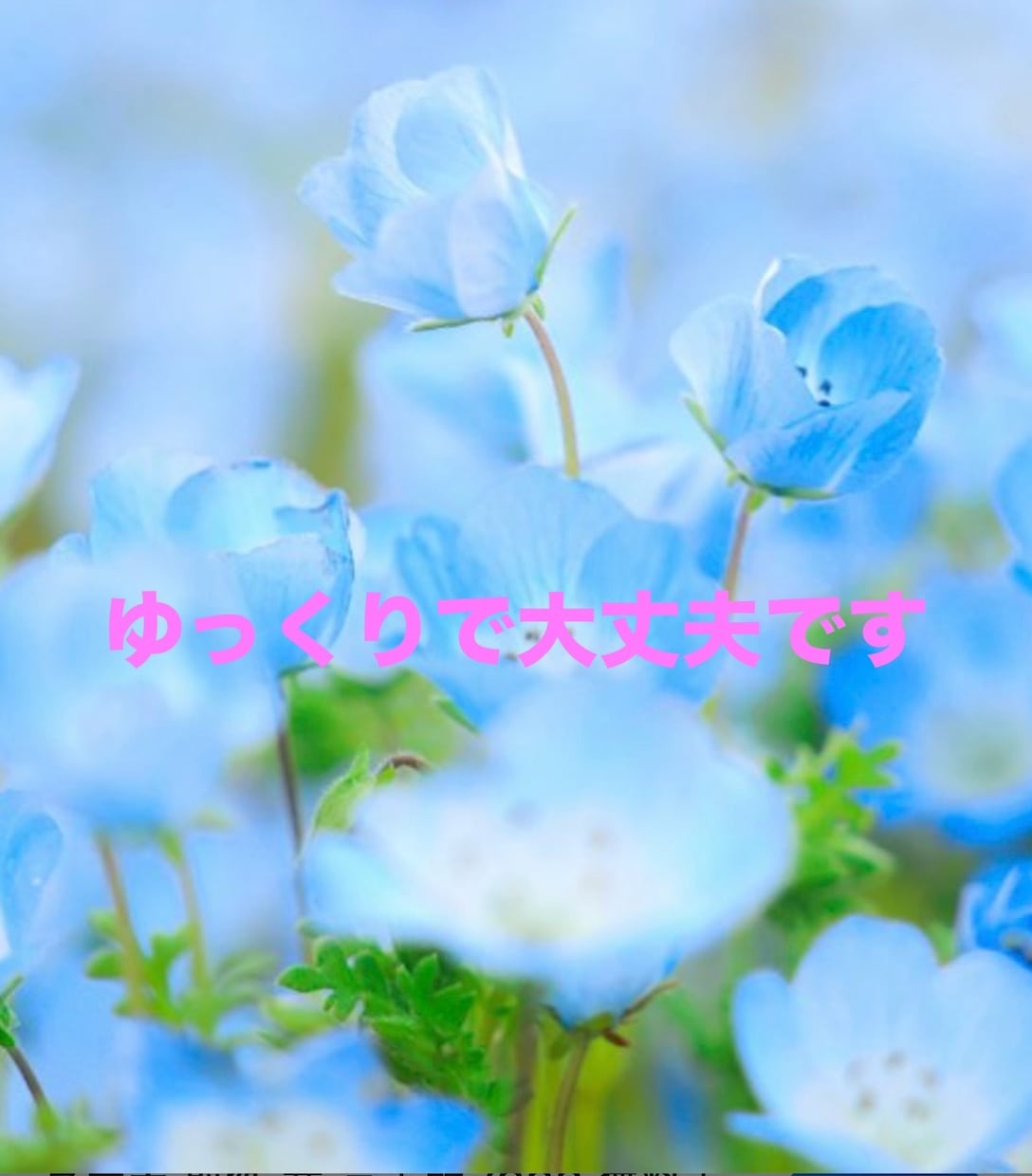 コミュ障でも大丈夫☘️あなたの声に寄り添います 今の自分を否定せず肯定できるようにあなたの力になります イメージ3