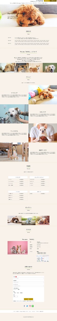 伝えたい情報をしっかり伝えるHPを作成いたします ペライチで低価、即納品、高クオリティーのサイト作成します！！ イメージ2