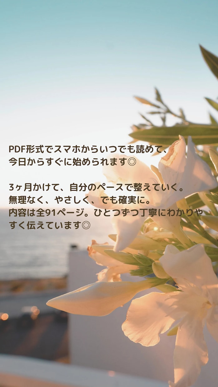 パニック障害を体から整える方法をお伝えします 9年苦しんだ私が実践パニック障害を体から整えるセルフメソッド イメージ5