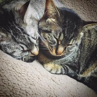 何となく！誰かと話したい聞いて欲しいに付き合います 無性に寂しい時ってありますよね？そんな時の呟き愚痴にどうぞ！ イメージ8
