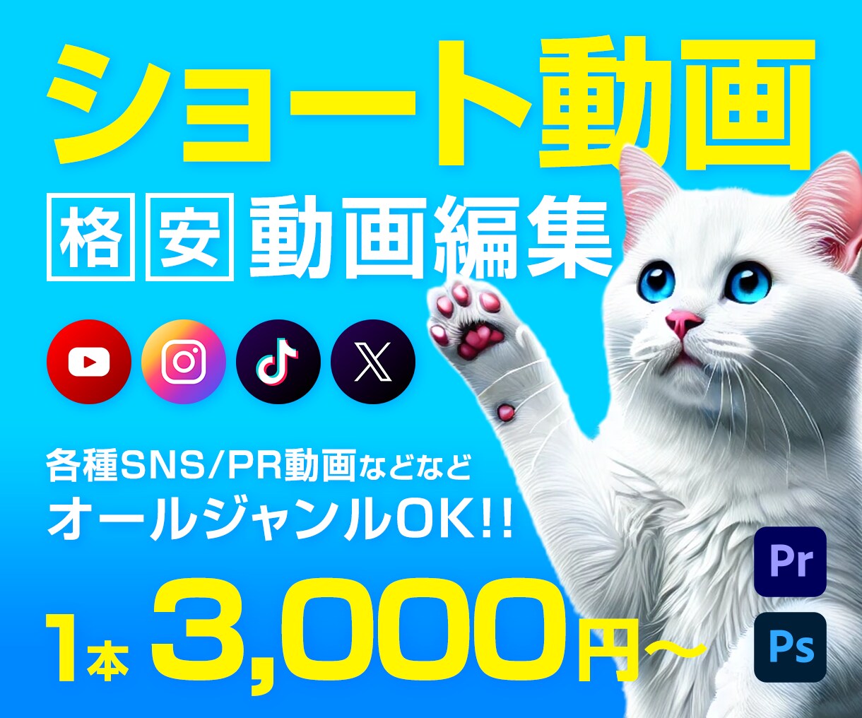 各種SNSなどのショート動画編集承ります 様々なジャンルに対応！サムネイルもご相談ください。 イメージ1