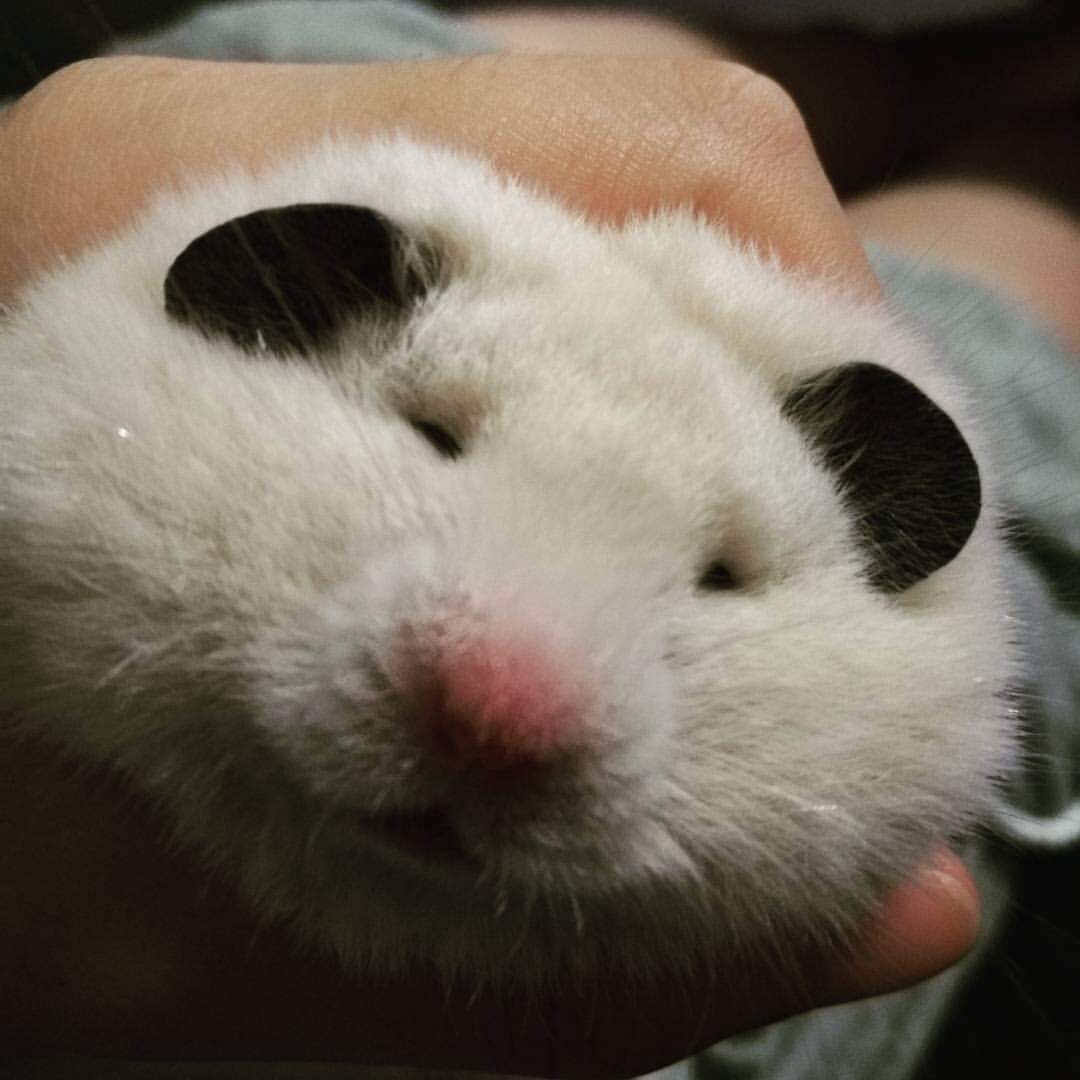 様々なお話を聞きます 対人関係、恋愛関係、仕事関係など イメージ1