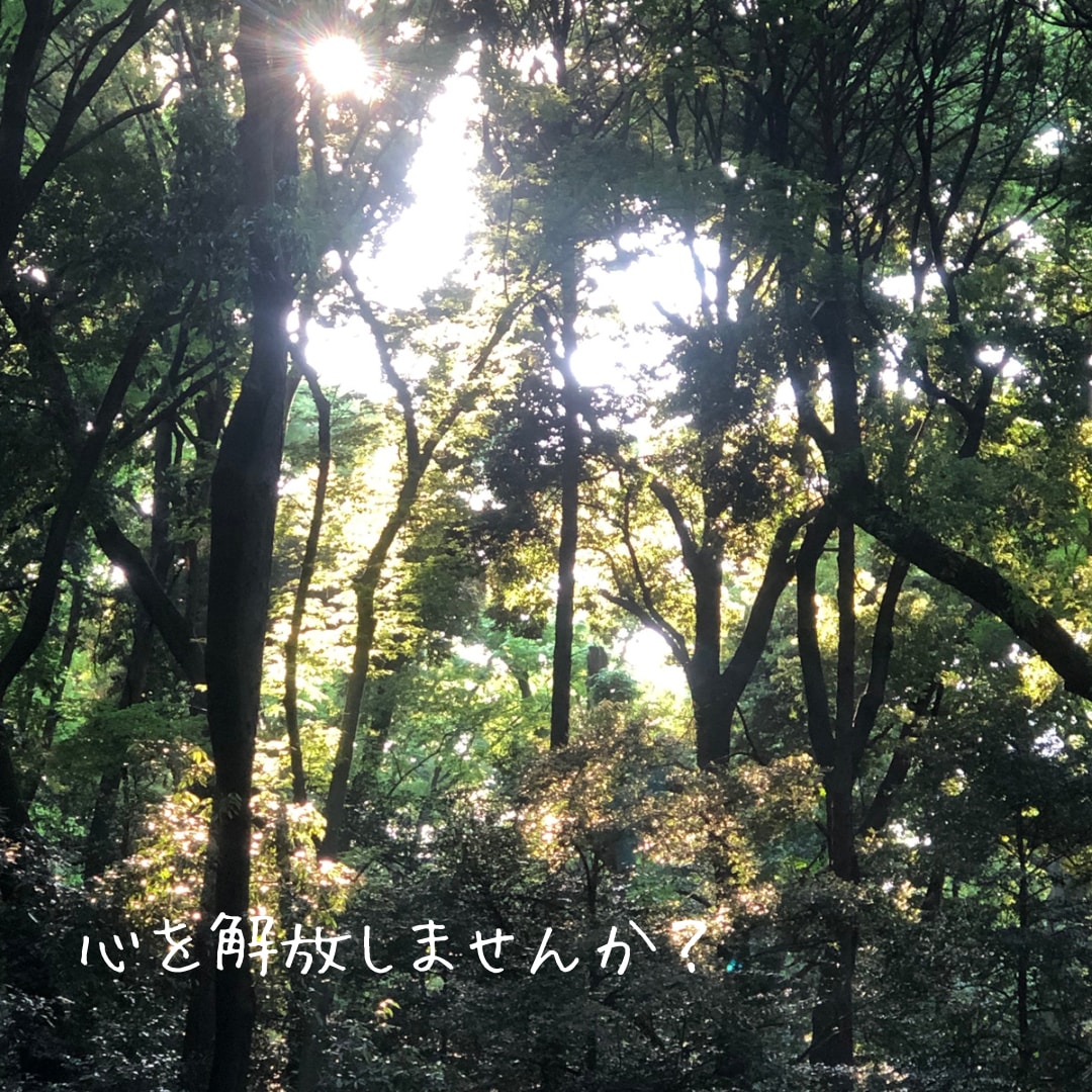 夫婦問題カウンセラーがお話を聞きます 壊れそうな心の整理をして、心を解放しましょう。前に一歩 イメージ1