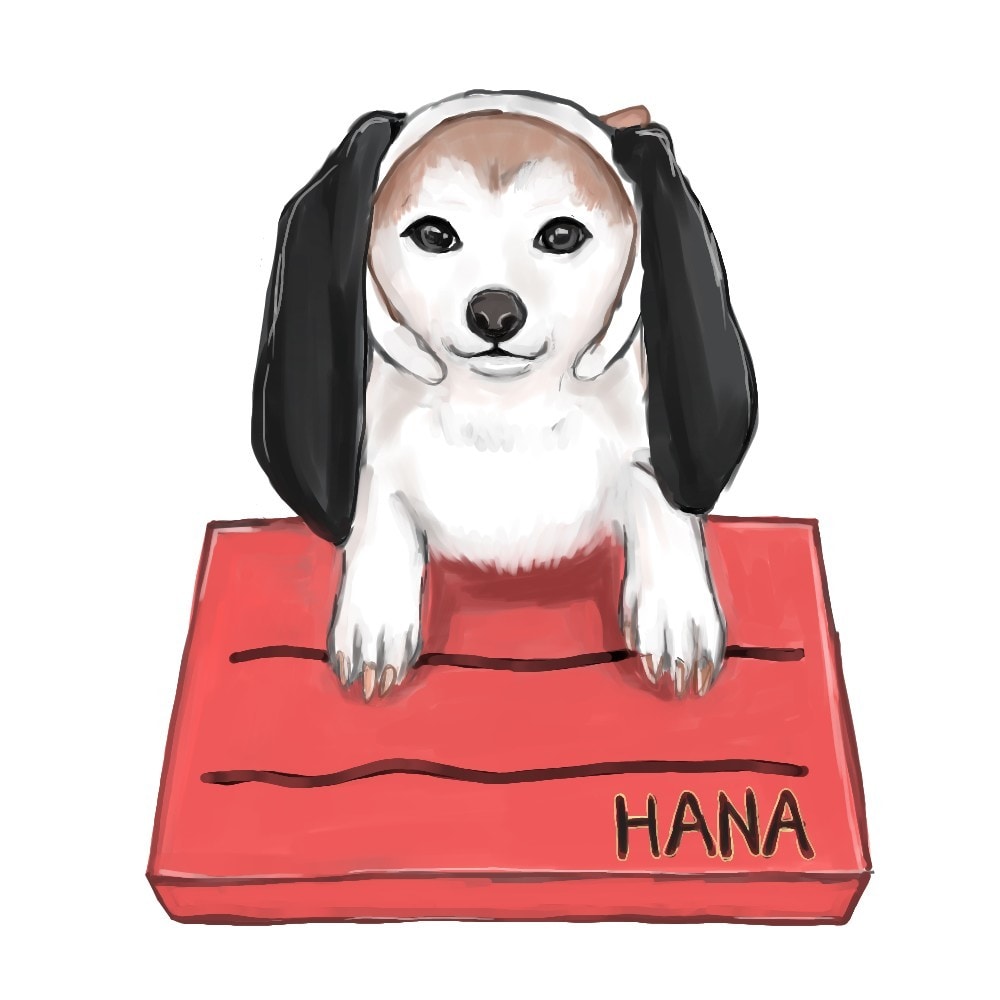 ペットのイラスト描きます 犬・猫他、どんなペットでも大歓迎！ イメージ2