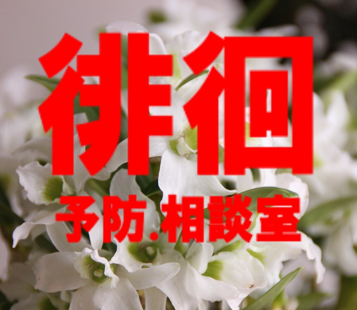 老化防止　【アンチエイジング】　のお手伝いをします ◇60代からの老化予防・健康・介護にならない生活のヒント イメージ7