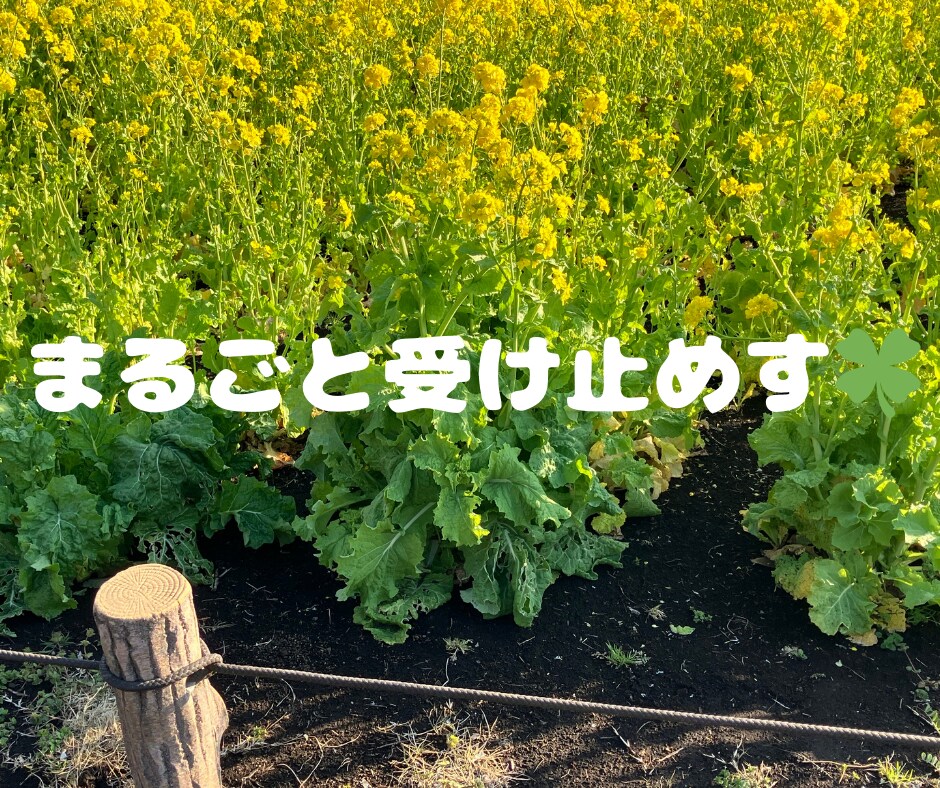 気分変調性障害当事者が丁寧に寄り添います 症状/うつ病との違い/双極性障害との違い/悩み/不安 イメージ4