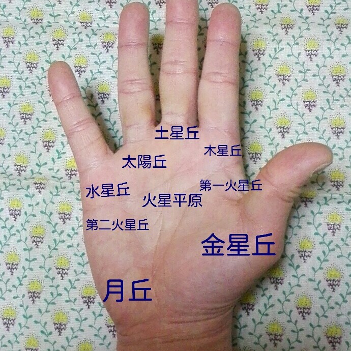 手相でお悩み解決します 手相鑑定に関心がある方にお勧めです。 イメージ1