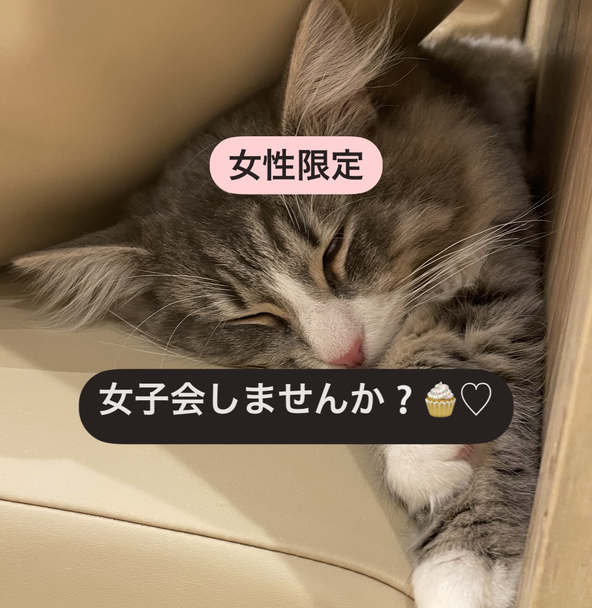 女性限定♡女子会開きます 愚痴、惚気、悩み、自由にお話！ イメージ1