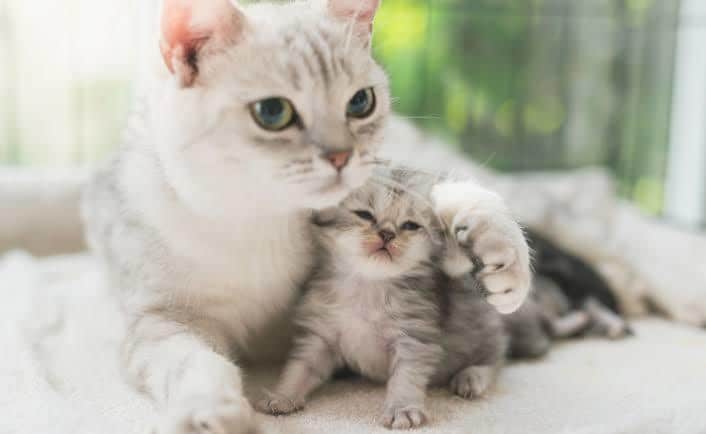 少しでも話したい。あなたのお話何でも聞きます あなたのお悩みを聞いて見えないストレスから解放させます。 イメージ2