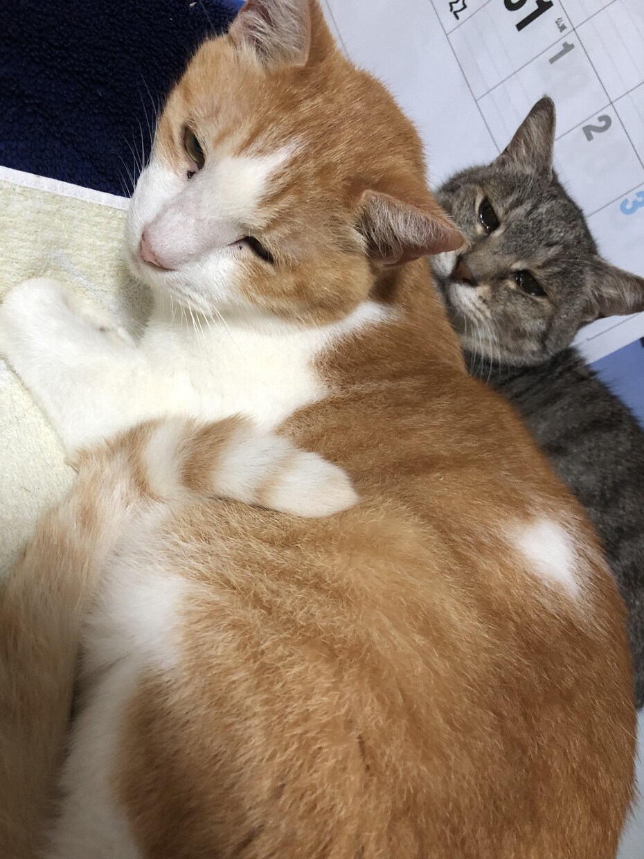 聞きます 愚痴、相談、悩み。とりあえず聞きます。一緒に悩みます。 イメージ1