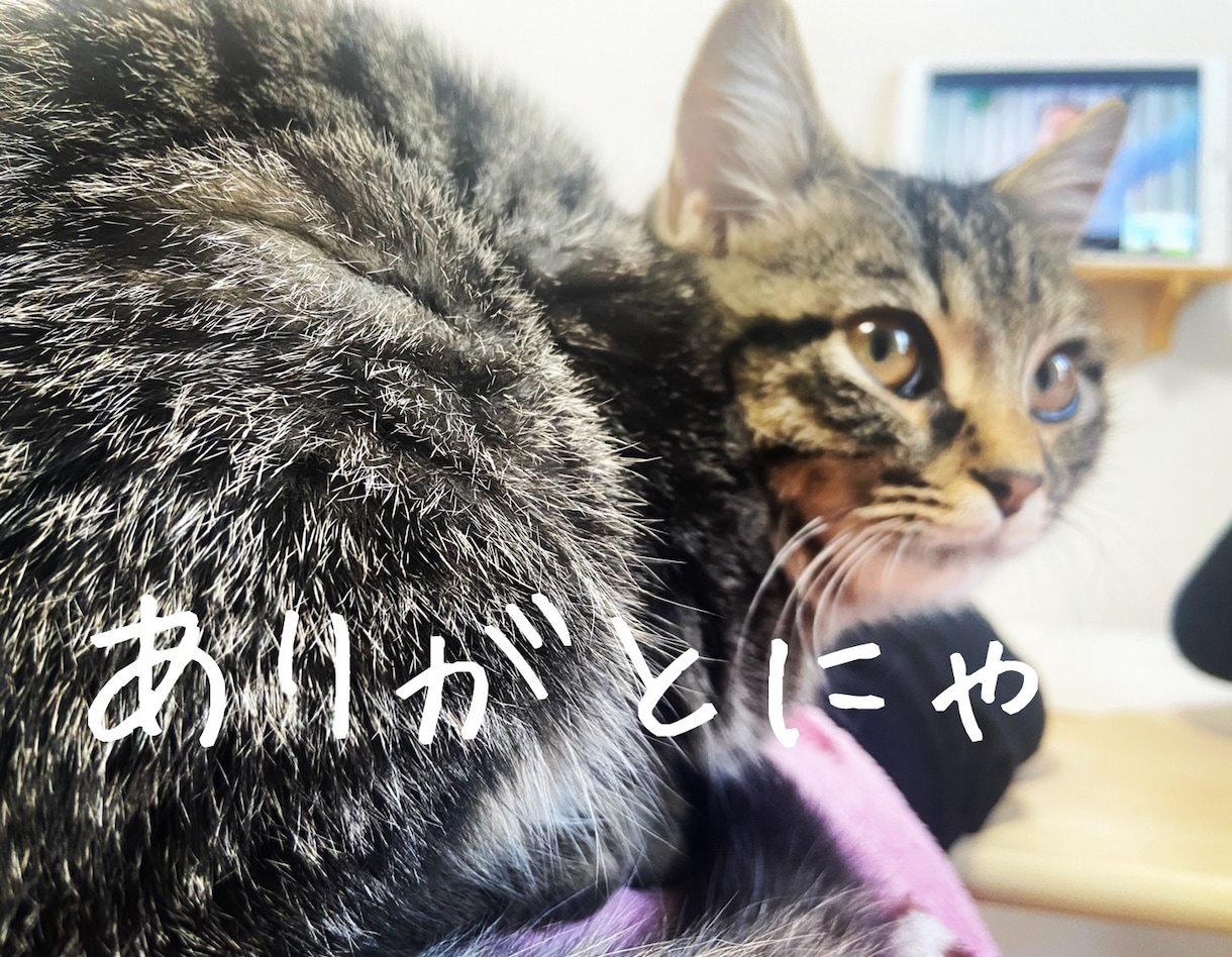 ゆるゆるあなたのお悩み・愚痴なんでも聴きます 1人で抱えずに♡言えば癒えちゃいうかもよ♡ イメージ3