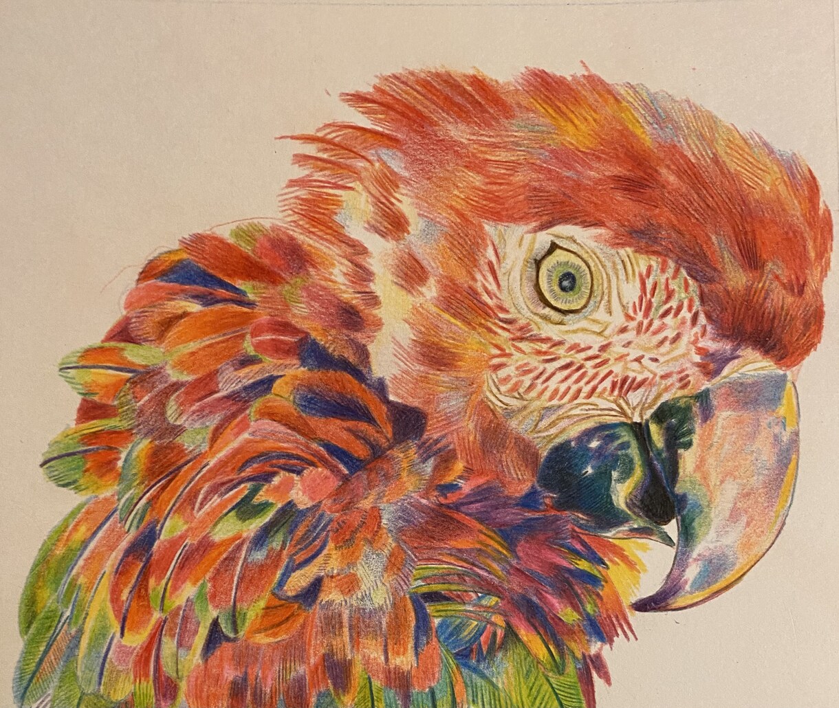 色鉛筆で綺麗な絵を描きます 水を色鮮やかに描けます✨ご家族への贈り物にもどうぞ！ イメージ5
