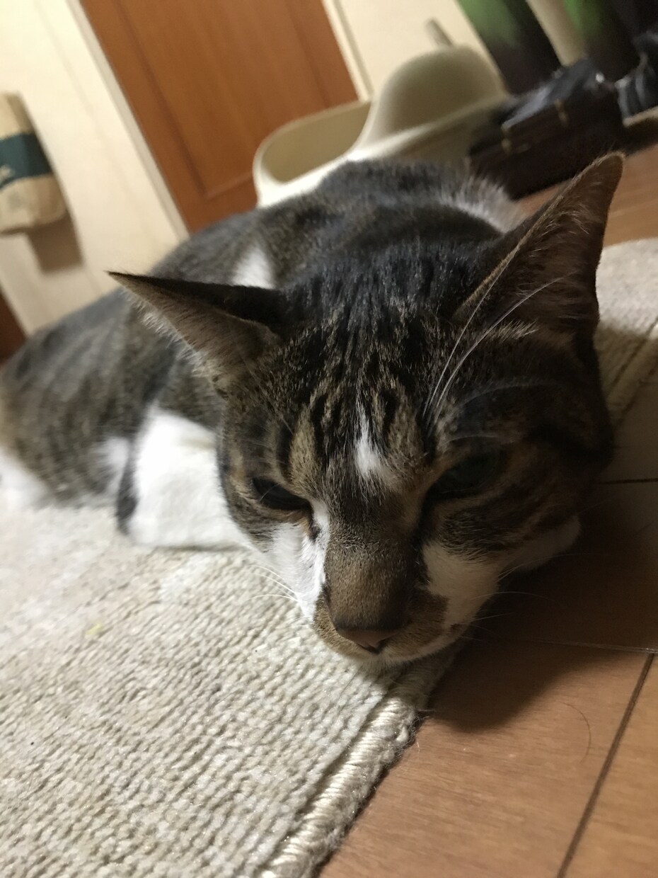 心理学的交渉術で相手にYESを言わせます 友人や恋人、ビジネスシーンでお願いを通したい人必読！ イメージ1