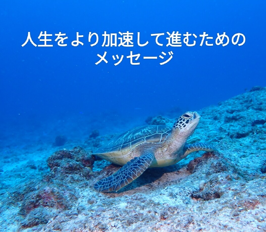 いまの貴方へ必要なメッセージをお届けします こんな人へ自分をもっと知りたい人生を進めるヒントがほしい イメージ1