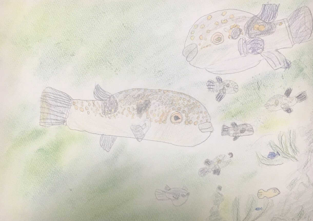 魚のイラスト書きます 魚のイラストを色鉛筆で書きます イメージ1