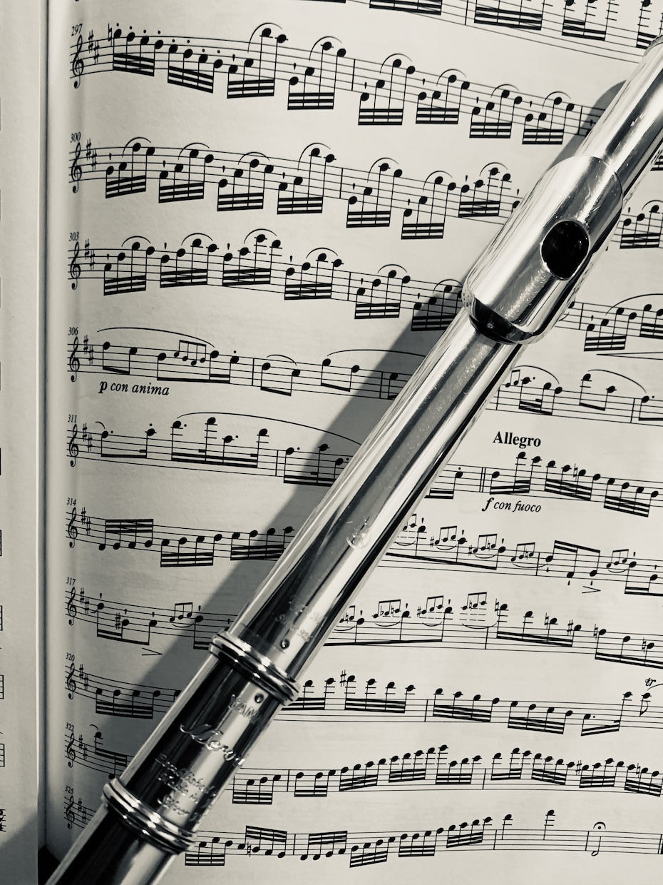 プロのフルート奏者が演奏音源宅録します フルートのメロディで打ち込み音源を一気にリアルに近づけます！ イメージ1